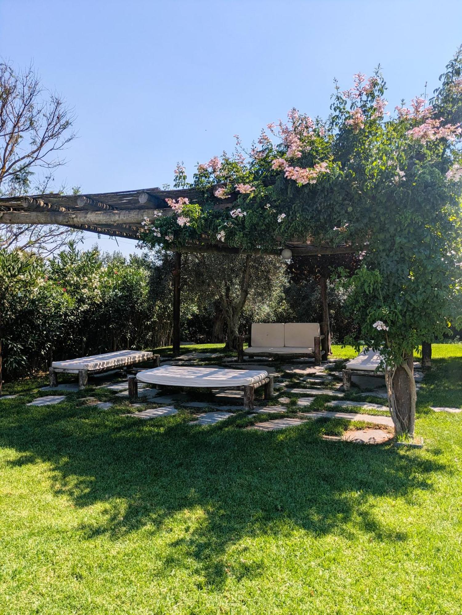 Casas De Juromenha Guest House Luaran gambar